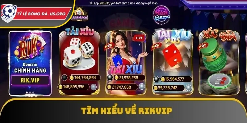 Đôi nét thông tin cơ bản về RIKVIP