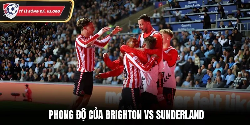 Thành tích thi đấu gần đây của Brighton & Sunderland