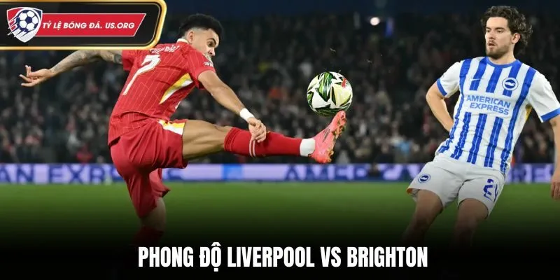 Soi kèo Liverpool vs Brighton - phân định kết quả ra sân gần đây