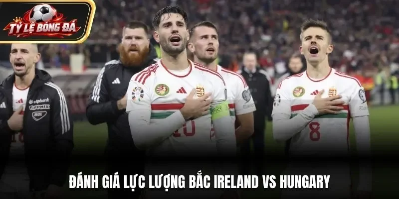 Đánh giá lực lượng Bắc Ireland vs Hungary