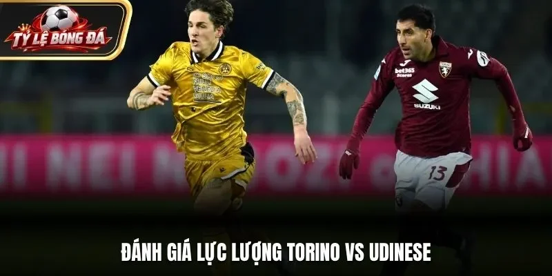 Đánh giá lực lượng Torino vs Udinese